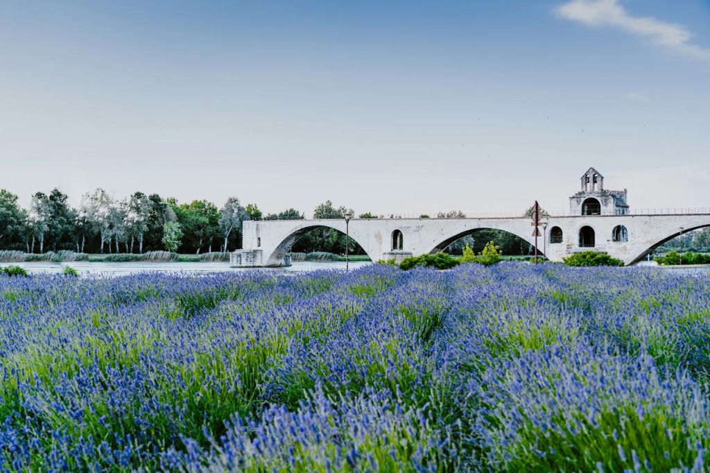 Pont du gard, Avignon, tour en Provence, lavande